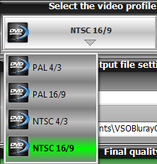 The frame format for the output DVD.