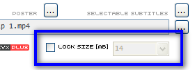 A small option found in the video configuration window for setting the output size of your encoded video.