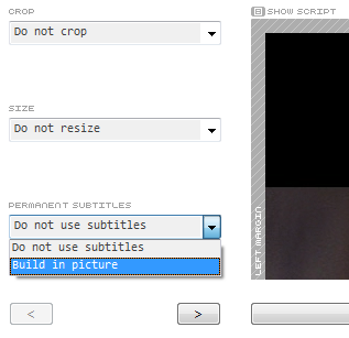 The RipBot subtitles dropdown menu with 'Build-in subtitles' selected.